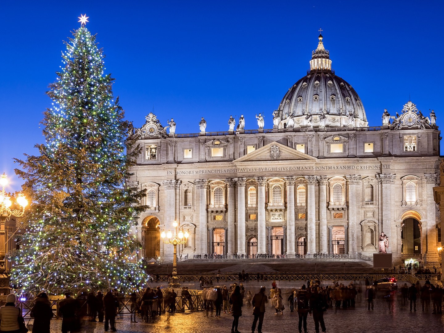 1481606629vatican-christmas-tree-GettyImages-467286324.jpg