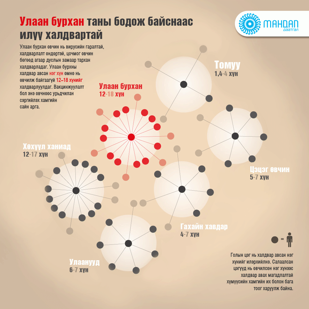 ИНФОГРАФИК: Улаанбурхан таны бодож байснаас илүү халдвартай