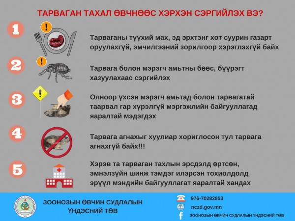 ТАРВАГАНЫ БӨӨС, БҮҮРЭГТ ХАЗУУЛСАН БОЛ МЭРГЭЖЛИЙН БАЙГУУЛЛАГАД ЯАРАЛТАЙ ХАНДААРАЙ